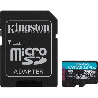 킹스톤 Kingston MicroSD 256GB 170MB/s UHS-I U3 V30 A2 어댑터 Canvas Go! Plus SDCG3/256GB 닌텐도 스위치, microSD Card without adaptor (, 1개