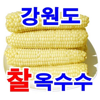 강원도찰옥수수