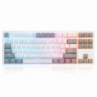 COX 콕스 엔데버 텐키리스 RGB PBT 방수 유선 텐키리스 키보드, 화이트, 엔데버 텐키리스 35g, 무접점