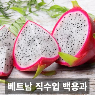 프리미엄 베트남 직수입 백용과 흰용과 2.5kg 5kg, 1개, 백용과 8-12입 (5kg)