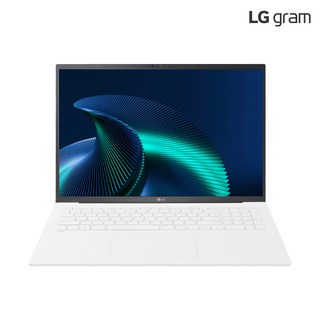 3. LG전자 그램 ..