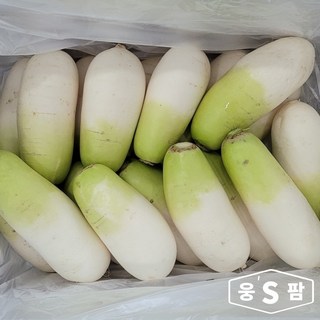 웅스팜 국산 무 맛있는 무우, 1개, 햇 무 5kg