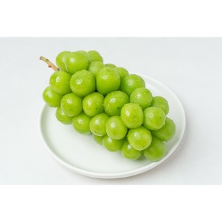 보람미미 산지직송 당도보장 고당도 김천 샤인머스켓, 1개, 샤인머스켓 1kg (1~2송이) 특품