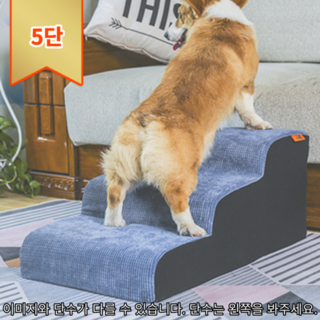 고양이 계단