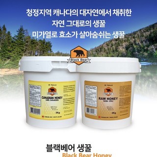 1. 블랙베어 캐나다..