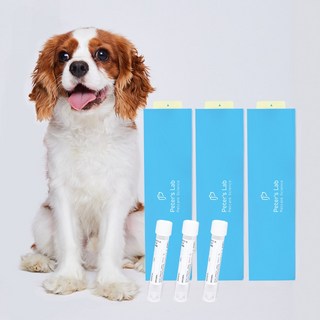 피터스랩 딥체크 강아지 질병 예측 병원체 유전자 검사 반려동물 건강검진 키트, 3개, 40g