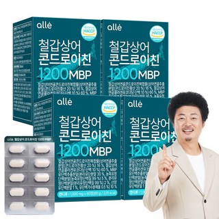 철갑상어 연골 콘드로이친 1200 MBP 식약청 HACCP 알레, 4개, 60정