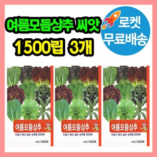 텃밭 한번에OK 모듬상추 씨앗 (9종) 고급채소 특수야채 맛좋고 인기좋은 상추 품종 모음, 3개