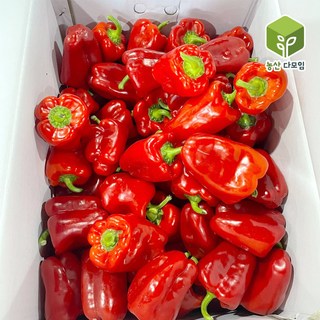 국내산 빨간피망 홍피망