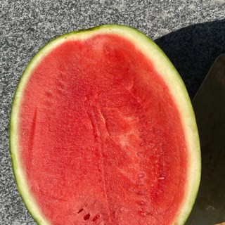 [고당도] 씨없는 수박 백화점 납품 고당도 맛있는 프리미엄 산지직송 수박 14brix, 1개, 7kg