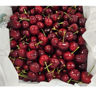 과일성지 프리미엄 고당도 큰 사이즈 생 체리 상콤한 체리 500g 1kg 2.5kg 5kg, 1박스, 상콤생체리  500g