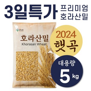 The큰나무 카무트 쌀 호라산밀 통곡물 햇곡물 5kg, 5개, 1kg