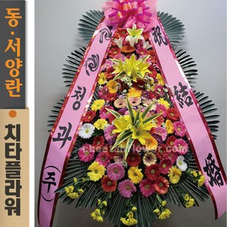 치타플라워 축하 3단 화환 (CT6-014) 결혼식화환 개업화환 행사 경조 개업 취임 웨딩 쌀 예식장 결혼축하화환 치타플라워 축하 3단 화환 (CT6-014) 결혼식화환 개업화환 행사 경조 개업 취임 웨딩 쌀 예식장 결혼축하화환