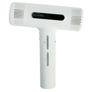 라이브박스 퓨어제트 BLDC 헤어 드라이어 300g TH11410B 1600W, CTH11613W, 클라우드 화이트