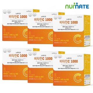 뉴메이트 비타민C 1000