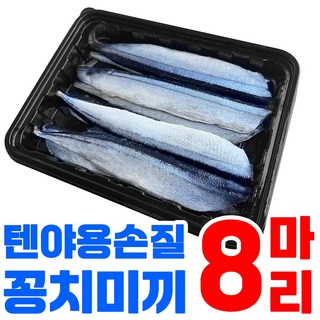 텐야 텐빈용 손질 꽁치 미끼 간편하고 싱싱한 꽁치미끼 갈치낚시 선상 텐빈 생미끼 붕장어 우럭 열기 바다낚시미끼, 8개