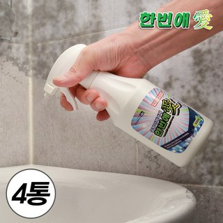 1. 곰팡이제거제 한..