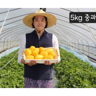 에덴청과 성주참외 산지직송 프리미엄 가정용 선물용 성주꿀참외, 1박스, 선물용 특품 5kg(중과)