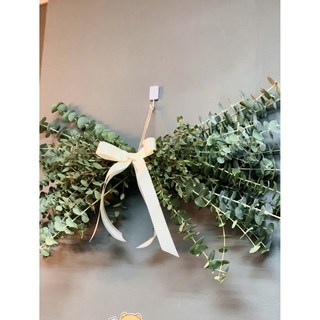 쏘엘 유칼립투스리스 상품 이미지