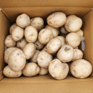 <당일출고> 포슬포슬 국내산 햇감자, 1박스, 햇감자 대 3kg”></p>
<div class=