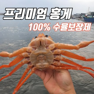 [선주직송] 구룡포 자숙 홍게 3kg(8~12마리) 산지직송 빠른배송, 1개