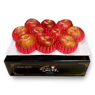 KM 사과 선물세트 3호 3kg 제수용 대과 9과, 1개