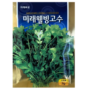 고수씨앗 2g 웰빙고수 종자 코리안더 향신료 동남아 샹차이 채소씨 미래종묘, 1개