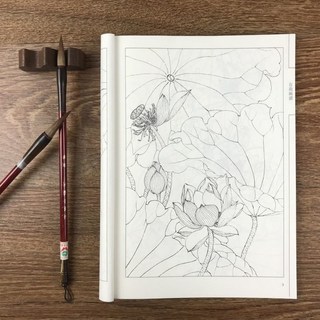 화접도 밑그림도안집 민화 백하 세트 한국화그리기 미술 한국화, 중국화 선화-백화수업 매뉴얼
