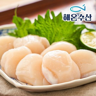 [해온수산] 국내산 키조개 관자(대) 500g 10미내외, 없음, 1개