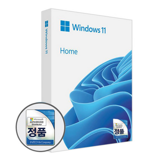 마이크로소프트 WINDOWS 11 HOME FPP [처음사용자용] USB 정품 패키지