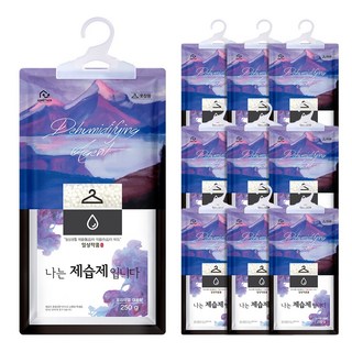 홈트너 나는 제습제 입니다 옷장용 제습제, 250g, 10개