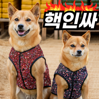 강아지 김장 조끼 대형견 강아지 패딩, 김장조끼(레드), 1개