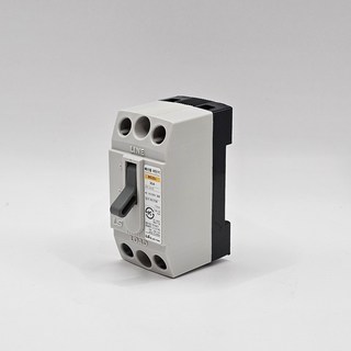 BS32c 30A LS산전 2극형 배선용차단기 산업용차단기 분전반용차단기 LS일렉트릭 LS Electric, 1개