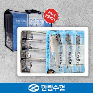 [수산대전20%쿠폰][제주 한림수협] 제주 은갈치 300gx3팩+고등어 120gx5팩+부직포가방, 단일속성, 1개