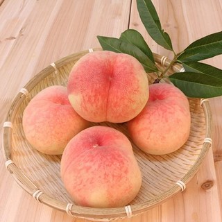 [엄지척농산물] 달콤한 햇 하우스 복숭아, 1개, 하우스복숭아 1kg 7-9과