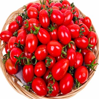 농부곳간 대추 방울토마토, 대추방울토마토 5kg 4~5번과 소과, 1개