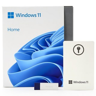 MS Windows 11 Home FPP(USB)