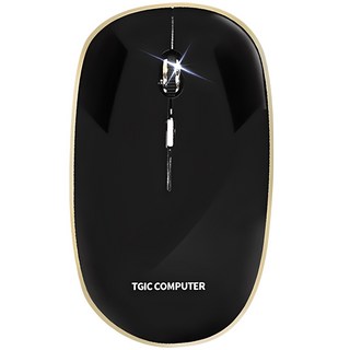 TGIC 저소음 무선 마우스 DJWM-3200, black color 1개