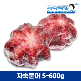 자숙문어 500/600g 필리핀 문어숙회 문어튀김 삶은문어, 1개 이마트트레이더스문어