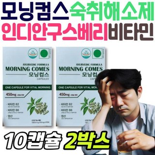 [정품발송] 모닝컴스 히말라야 인디안구스베리 비타민 숙취해소제 보충 영양제 비타민B군 남성 여성 엽산 망년회 모임 478766, 1개