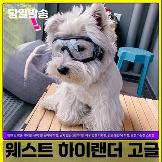 스피드라인 렉스스펙스고글 고글 렉스스펙스 렌즈, 1개, S(4-7파운드) 흰색/회색