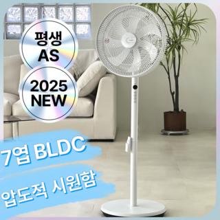 파세코 BLDC 서큘레이터