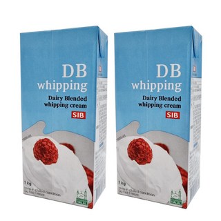 DB 생크림으로 문제 해결하기