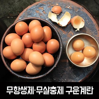 HACCP인증 구운계란 대란 30구 2판