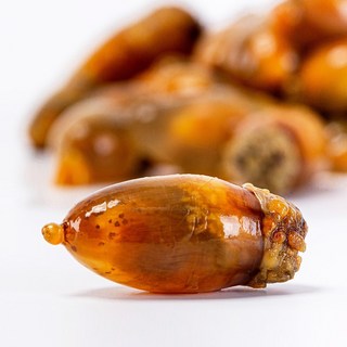당일채취 손질 깐 통영미더덕 참 미더덕 생물 미더덕회, 500g, 1개
