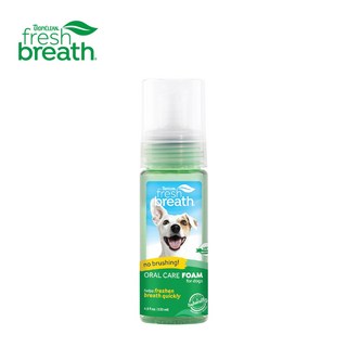 트로피크린 후레쉬 민트 거품치약 가글용 4.5oz 133ml, 1개