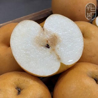 프리미엄 고당도 보장 천안 명품 가정용 신고배 4kg, 1개