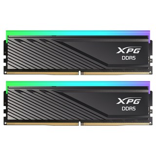 ADATA DDR5-6000 CL30 LANCER BLADE RGB 블랙 패키지 서린 (32GB(16Gx2)), 1개