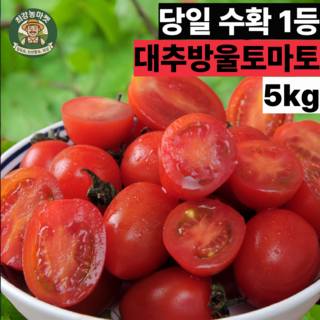 최강농마켓 논산 대추방울토마토 탱글한 당도 명품, 1박스, 로얄과 5kg (가정/선물용)