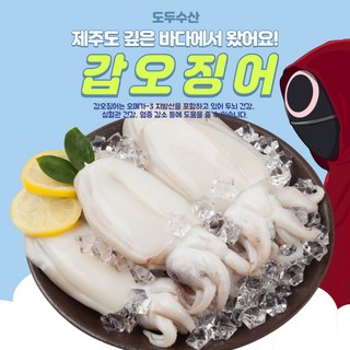 제주도 제철 갑오징어 4마리 1kg 특사이즈, 300개 반건조오징어